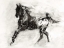 Picture of RUSTIC APPALOOSA II