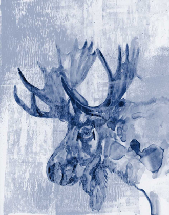 Picture of INDIGO MOOSE