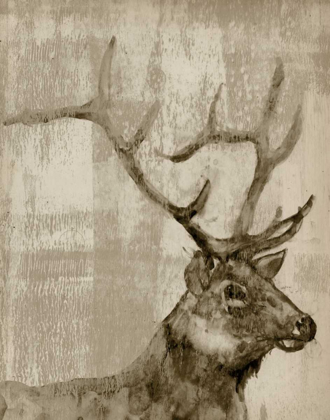 Picture of SEPIA ELK 