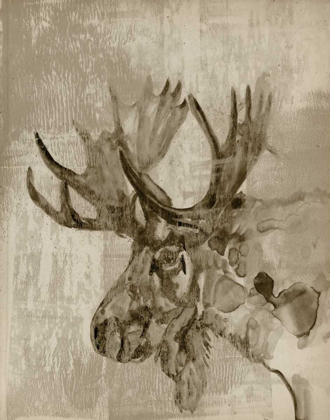 Picture of SEPIA MOOSE