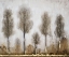 Picture of GRAY DAY I