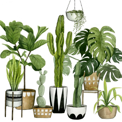 Picture of PLANT HAVEN I