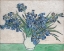 Picture of IRISES