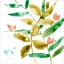 Picture of TROPICAL DISPLAY V
