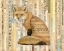 Picture of RED FOX COLLAGE II