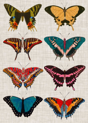 Picture of POLYCHROME BUTTERFLIES I