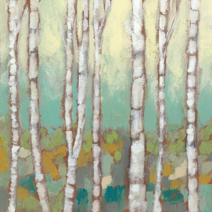 Picture of KALEIDOSCOPE BIRCHES I