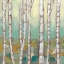 Picture of KALEIDOSCOPE BIRCHES I