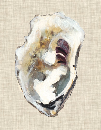 Picture of OYSTER SHELL STUDY I