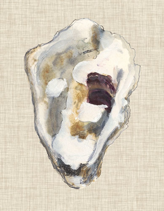 Picture of OYSTER SHELL STUDY II