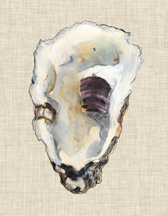 Picture of OYSTER SHELL STUDY III