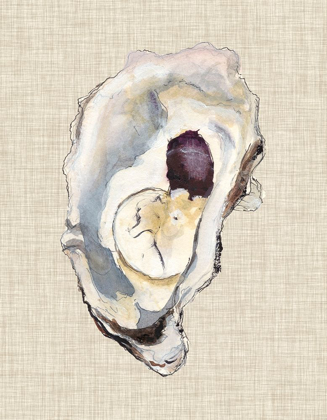 Picture of OYSTER SHELL STUDY IV
