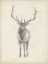 Picture of ELK STUDY