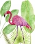 Picture of TROPICAL FLAMINGO I