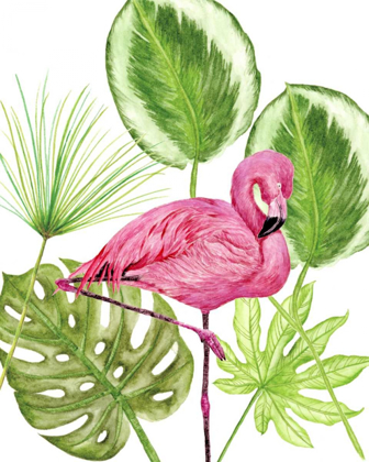 Picture of TROPICAL FLAMINGO II