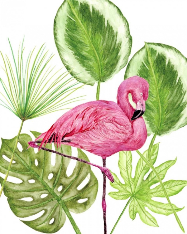Picture of TROPICAL FLAMINGO II