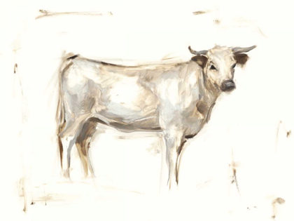 Picture of WHITE CATTLE I