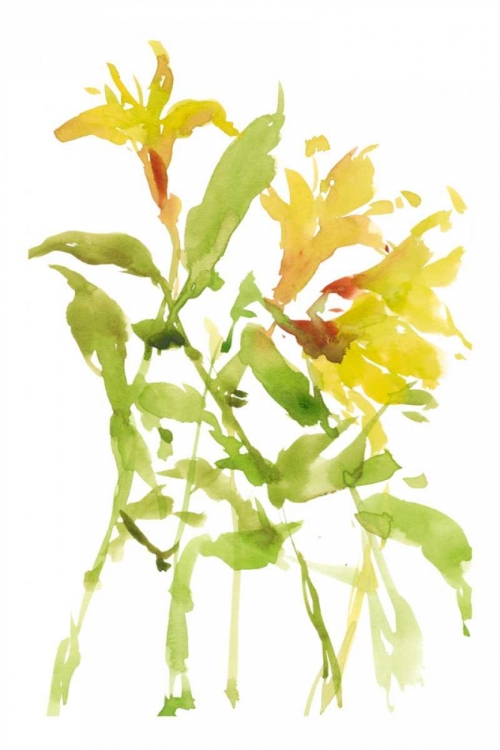 Picture of WATERCOLOR LILIES I