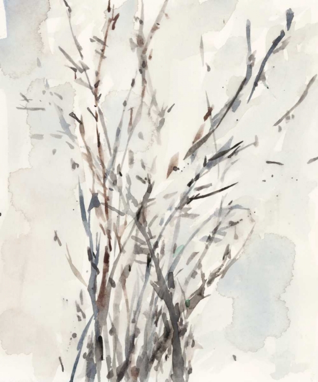 Picture of WATERCOLOR BRANCHES I