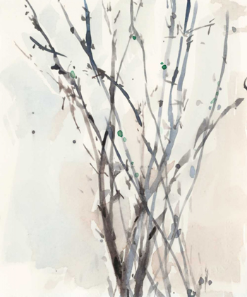 Picture of WATERCOLOR BRANCHES II