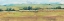 Picture of DISTANT TREELINE PANEL II
