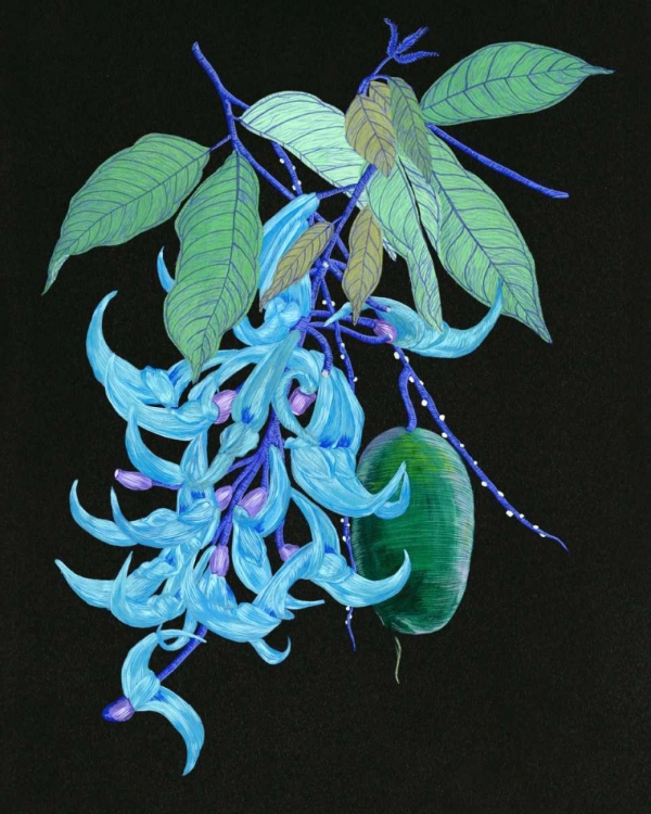 Picture of JADE VINE II