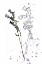 Picture of BOTANY FLOWER II