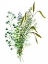 Picture of GREEN BOUQUET II