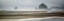Picture of FROM CANNON BEACH I