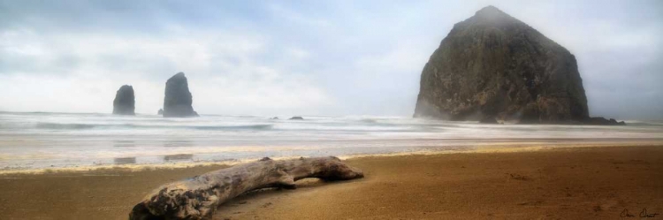 Picture of FROM CANNON BEACH II