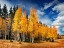 Picture of THROUGH THE YELLOW TREES II