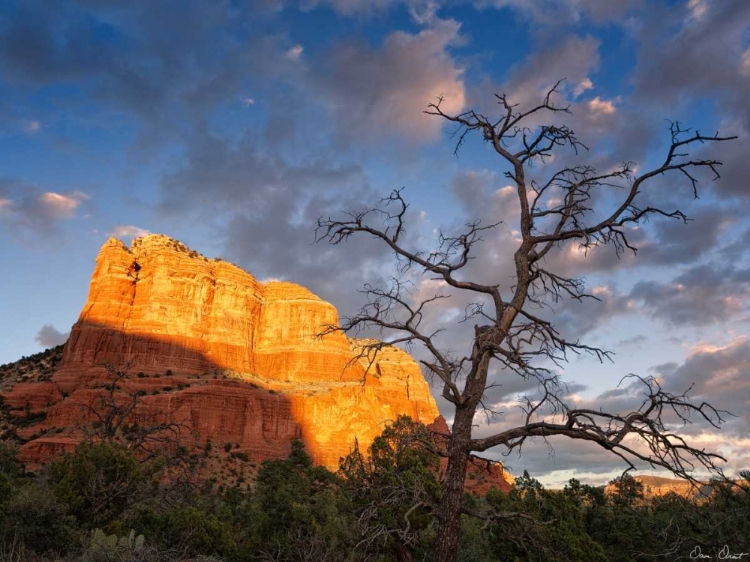 Picture of SUNSET IN THE DESERT II