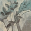 Picture of SEPIA AND SPA II