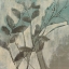Picture of SEPIA AND SPA II
