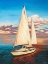 Picture of SUNSET CRUISE I
