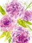 Picture of BOUQUET ROSE II