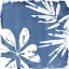 Picture of TROPICAL INDIGO IMPRESSIONS III