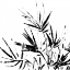 Picture of MONOCHROME TROPIC II