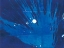 Picture of INDIGO BURST I