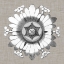 Picture of NEUTRAL ROSETTE DETAIL V