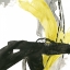 Picture of CITRON FLUX IV
