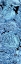 Picture of BLUE PEONIES II