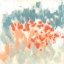 Picture of BLUEBERRY AND CORAL FIELD II