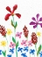 Picture of VIVID WHIMSY II