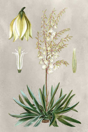 Picture of TROPICAL VARIETIES I