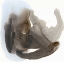 Picture of EMBODIMENT II