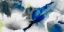 Picture of EPHEMERAL I