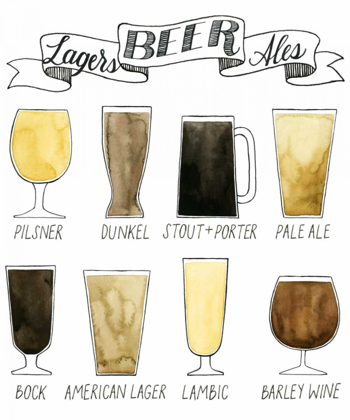 Picture of BEER INFO GRAPHIC
