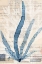 Picture of SEAWEED ARRANGEMENT II