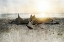 Picture of SAND CASTLE I